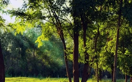 Stress & Anxiety Meditation To Address Negative Thoughts