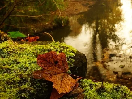 Reiki Infused Stress Release Meditation 