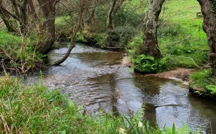 Stress & Anxiety Relief: 5-Min Tension Release