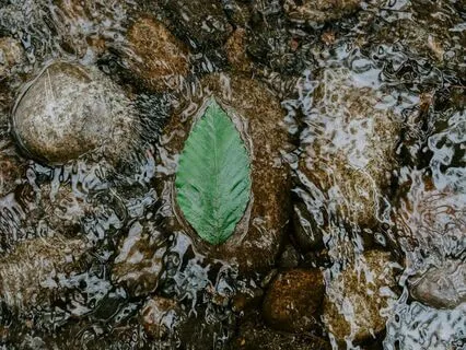 Stress And Anxiety Relief Meditation