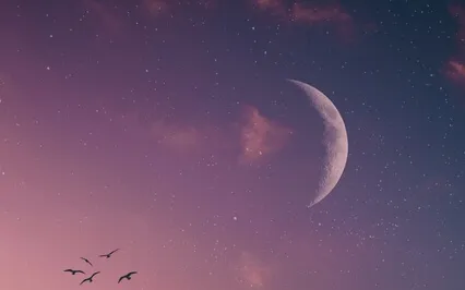 Stress & Healing Music