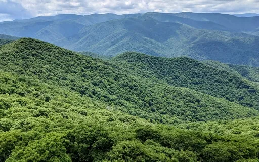 Stress, Anxiety And Positivity Meditation (54321 Technique)