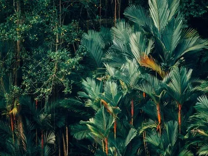 Stress & Anxiety Relief For Restorative Sleep | Theta Beats