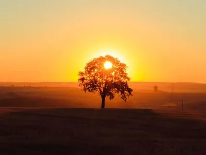 Stress Break Breath - The Physiological Sigh