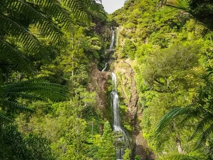 Stress Buster: Identify, Rate & Change A Stress!