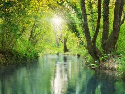 Stress Detox: Cleanse Your Mind