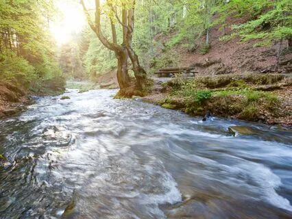 Stress Detox: Energy Cleanse For The Soul