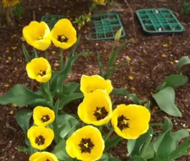 Stress Detox Meditation Practices For Beginners