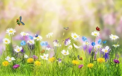 Stress Free - Guided Meditation