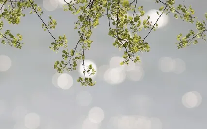 Stress Free Guided Meditation For Beginners