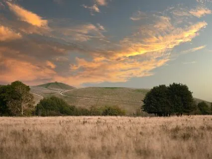 Stress-Free Haven: Tranquil Tunes For Peace