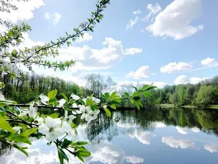 Stress-Free Journey: Music to Refresh