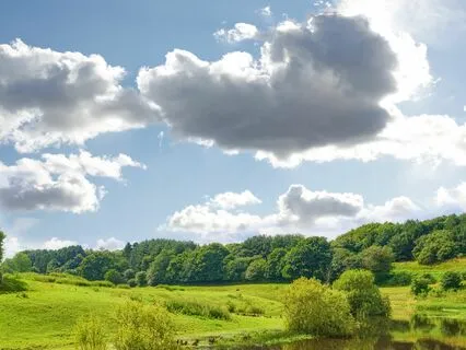 Stress-Free Night: Drift Into Peace