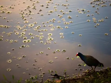 Stress-Free Reset: Calm Your Mind