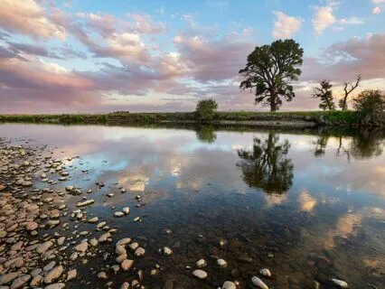 Stress-Free Serenity: Melodic Tranquility