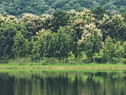 Stress-Free Sleep: Drift Into Peace