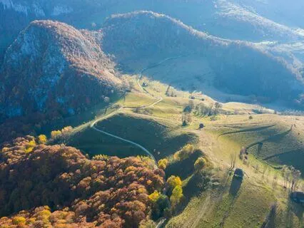 Stress-Free Sleep: Total Relaxation