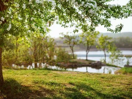 Stress-Free Zone: Find Instant Peace