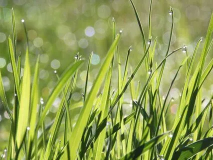 Stress Less & Awaken: 5-Minute Morning Miracle For Clarity