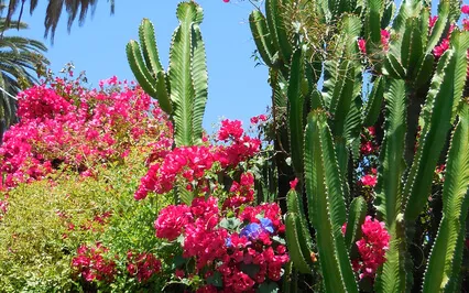 Stress Management And Gaining Control