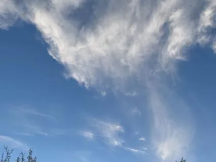 Stress Management Guided Grounding