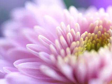 Stress Management Practice With Acupressure