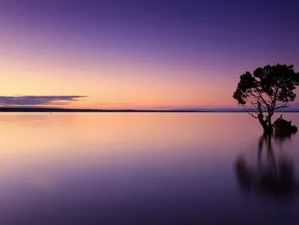 Stress Melt Body Scan