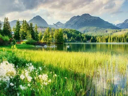 Stress Meltdown: Let Go And Relax