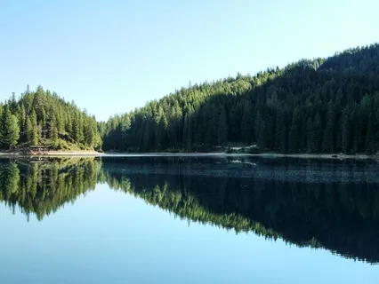 Stress + Anxiety Relief 