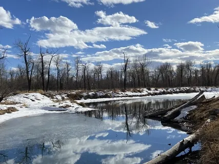 Stress Reducing Yoga Nidra Meditation