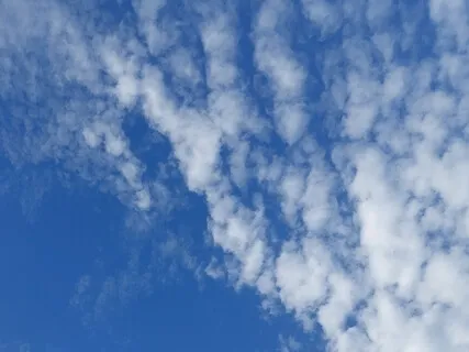 Reduce Stress And Find Peace From Within