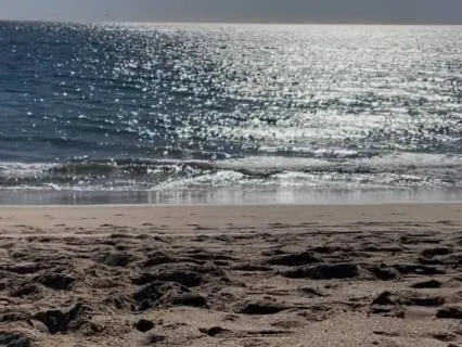 Stress Reduction Practice (MBSR)