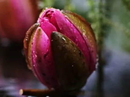 Deeply Relax | 1.5Hz Binaural Beats