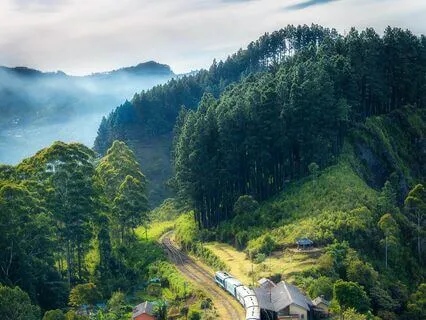 Stress Release: Let The Tension Fade