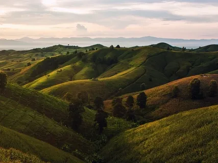 Stress Release Visualization