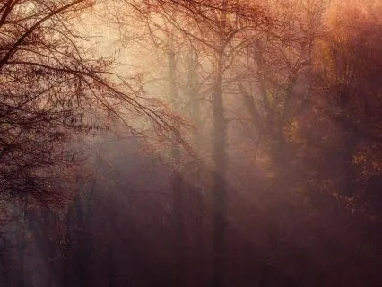 Stress Relief: Ambient Calm (20 min)