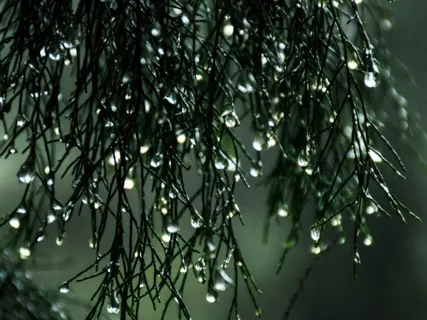 Stress Relief & Being Present