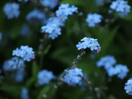 Relieve Stress & Find Relaxation 