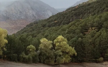 Stress Relief EFT Tapping Meditation