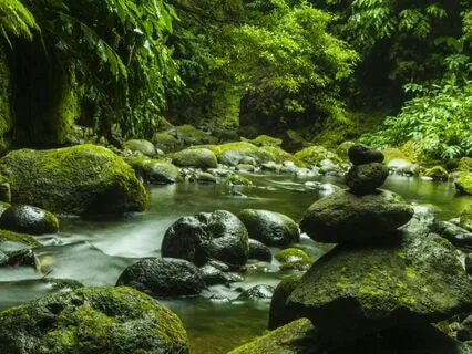 Stress Relief & Emotional Healing: 528Hz Harmony