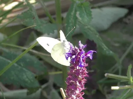 Stress Relief - Get Out Of Your Mind, Go Into Your Body