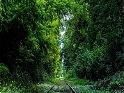 Stress Relief Healing Music - 528Hz