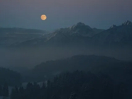 Stress Relief  "Mystical Rainforest"