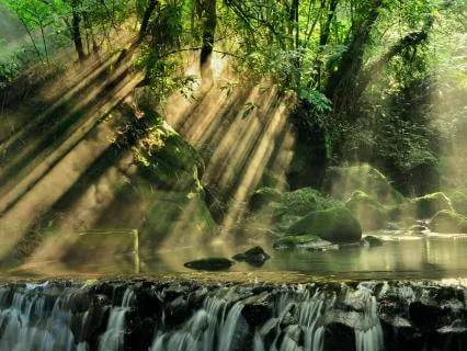 Stress Relief: Pure Tones Relaxation