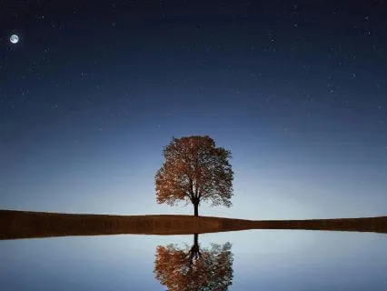 Stress Relief Sleep Music With Gentle Rain (2 Hours)