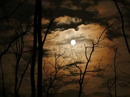 Stress Relief With 174 Hz