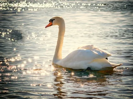 Stress Relief With Simple Breathing