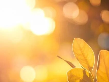 Stress Reset: A 5-Step Sensory Body Scan For Calm