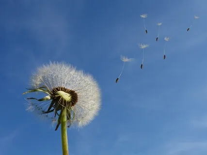 Stress Reset: Nose And Mouth
