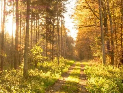 3 Minutes. One Walk. Full Reset (For Work Stress Relief)